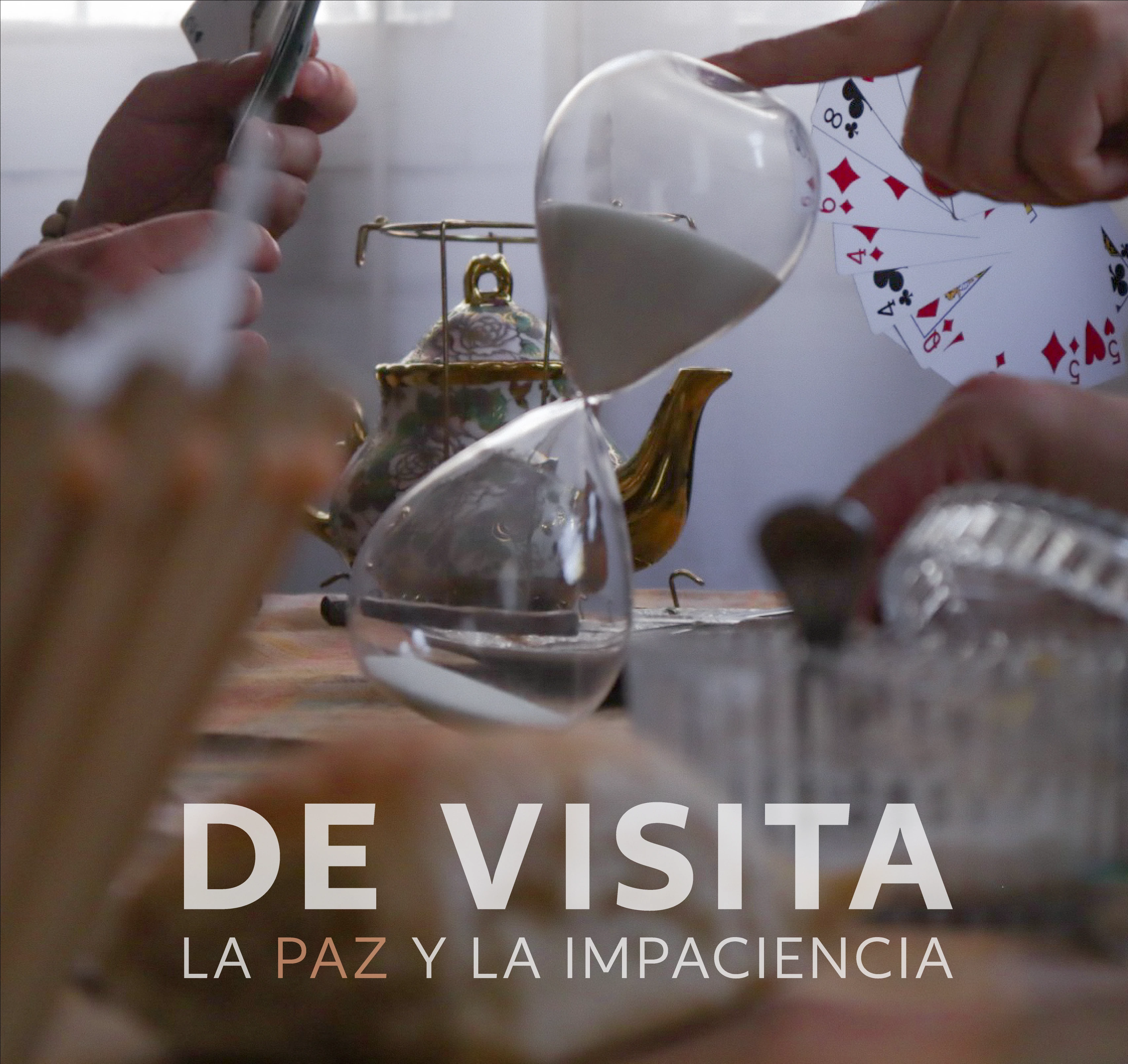 De Visita — portafolio Estudios Madero